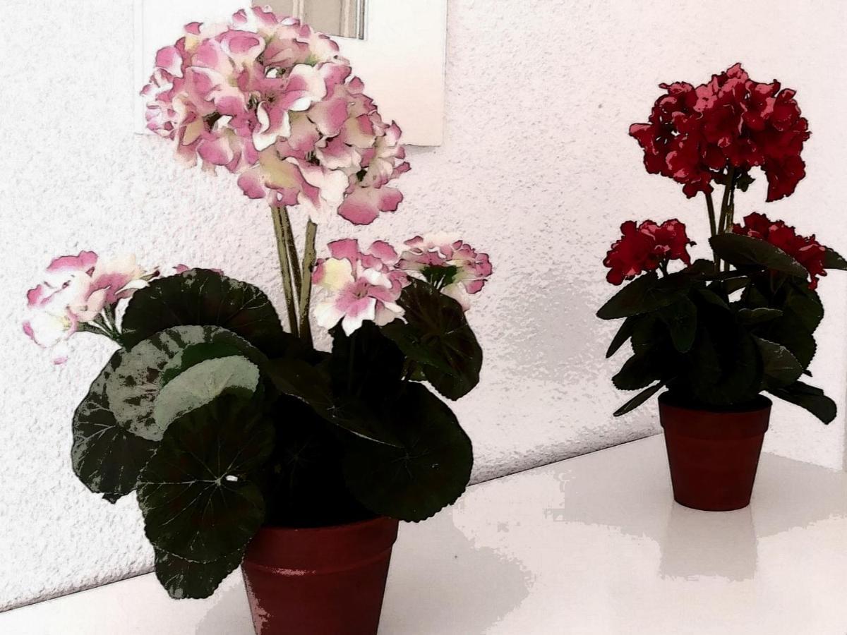 Apartament Casa Pascual.tranquilidad En Pleno Centro Sevilla